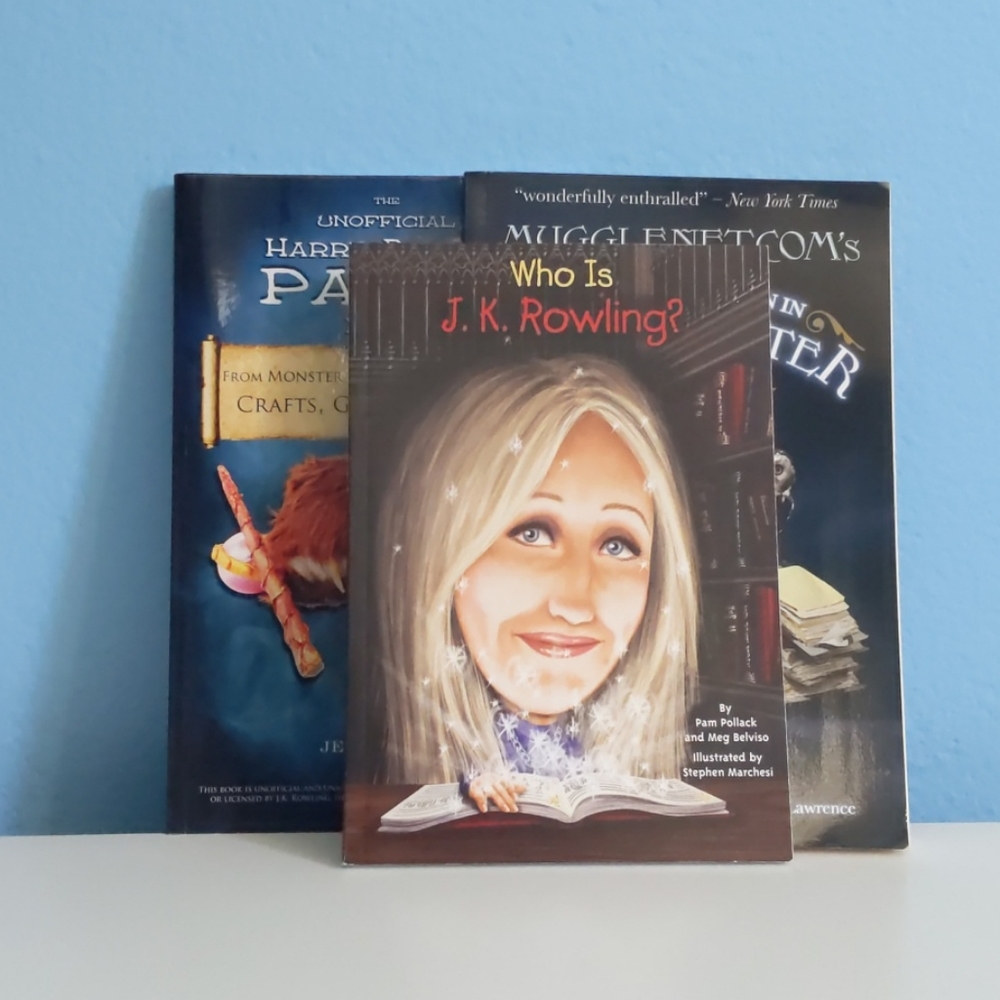 3 Harry Potter books bundle BNWOT